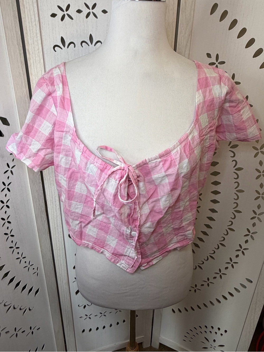 NWOT Pink Gingham Tie-Front Crop Top